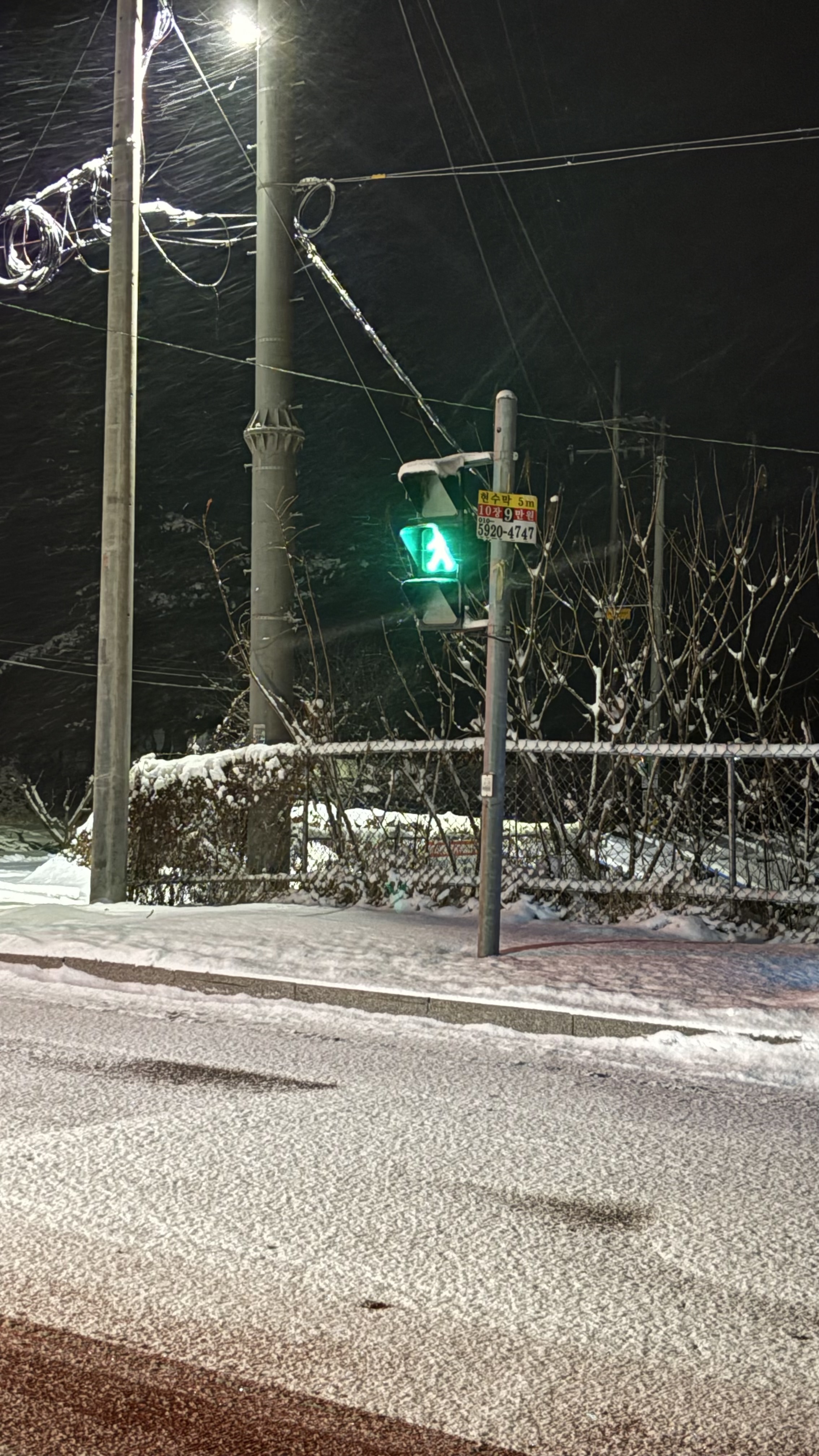 2025년 1월, 5월 - 국내 여행 1