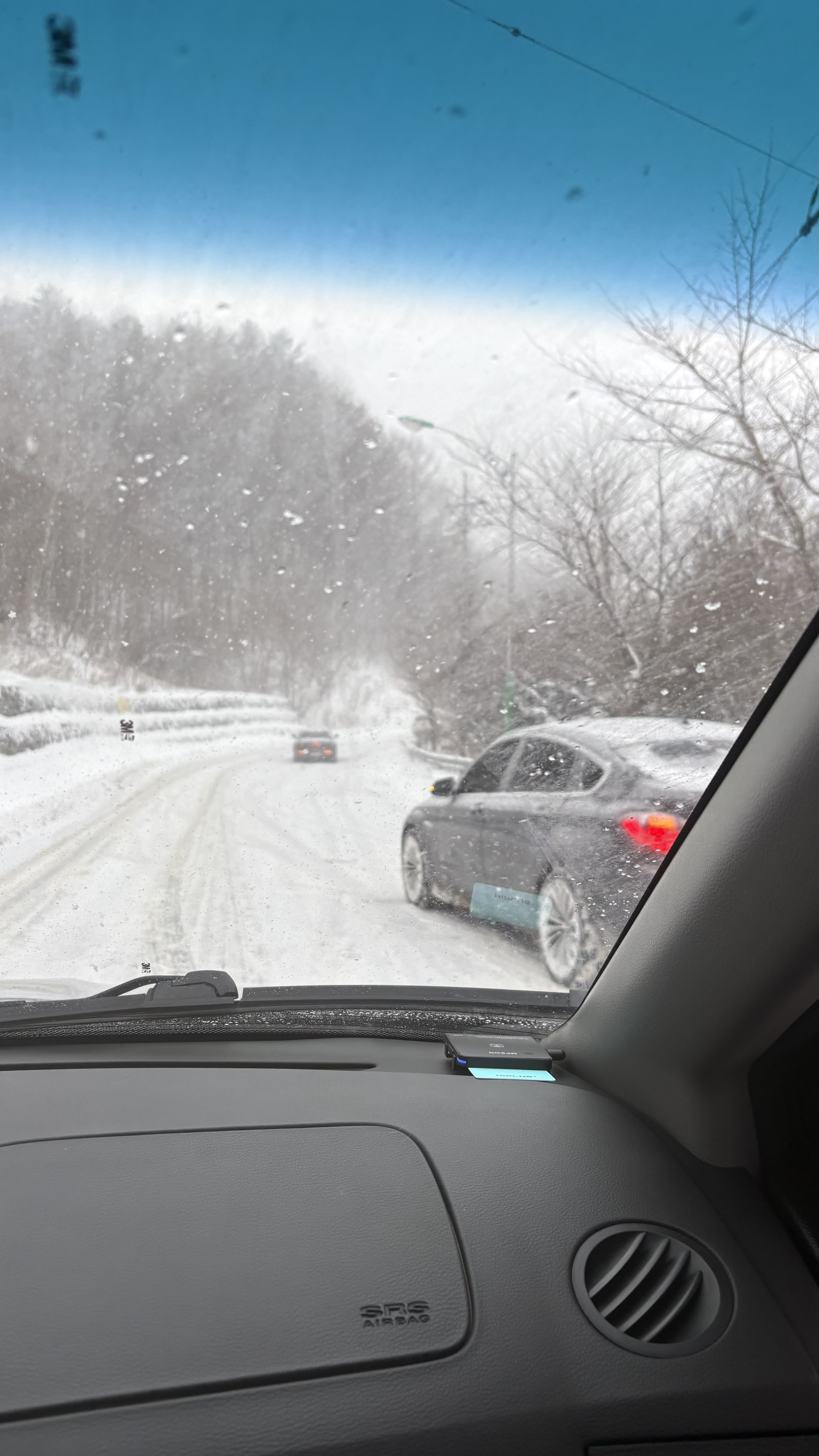 2025년 1월, 5월 - 국내 여행 3