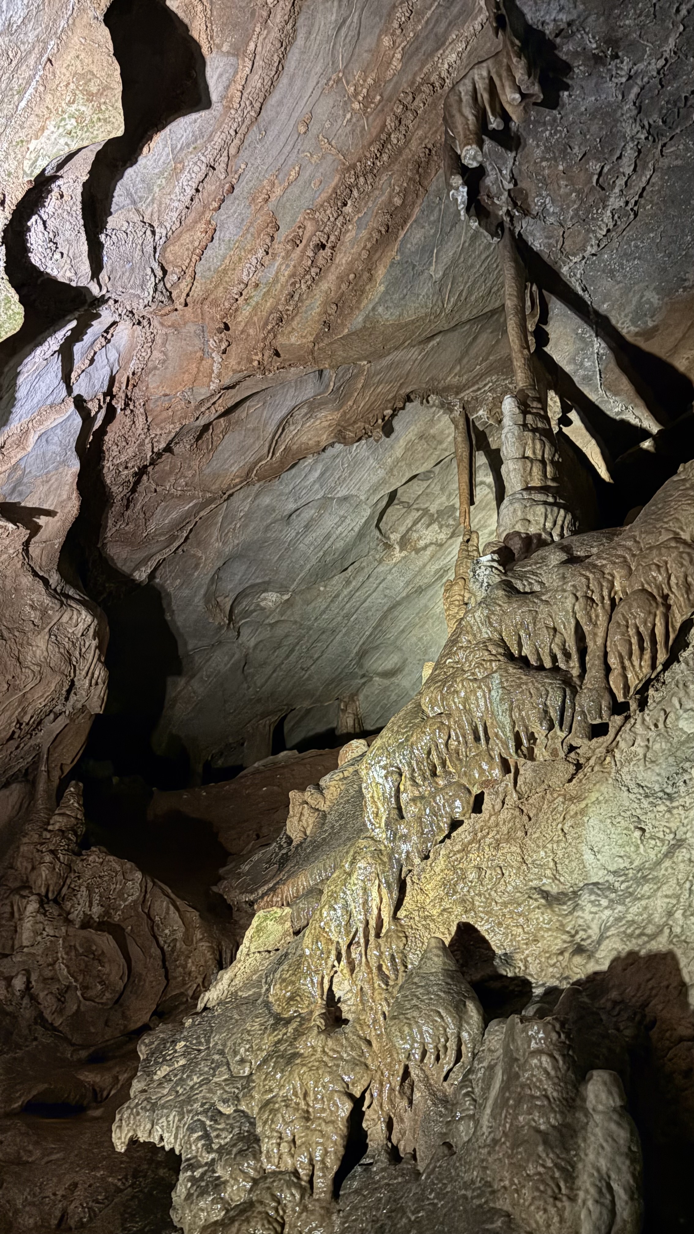 2025년 1월, 5월 - 국내 여행 4